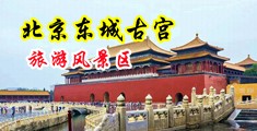 欧美BB逼中国北京-东城古宫旅游风景区